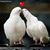 Dania García Flores's profile image