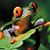 Cheryl Zingaro's profile image