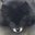 Jna's profile image