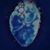 Acqua Animar's profile image