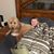 Brad Bidwell's profile image