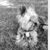 Debbi See's profile image