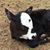 Karrie Overbay's profile image