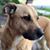 Claire Hubble's profile image