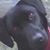 Adele Wooten's profile image
