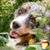 Beate Dietrich's profile image