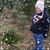 Pamela Dunbar Bossert's profile image