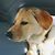 Carla Garza Beckerley's profile image