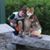 Kevin Plouffe's profile image
