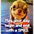 Pam Attanucci Johnston's profile image