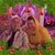 Shelly Worstell Cooper's profile image