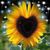 Charlene Martinez's profile image