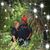 Bonnie LaCour's profile image