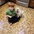 Susan Nosnhoj's profile image