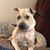 Tracy Lynn Meyer's profile image