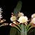 Patti Scavo Schenkel's profile image
