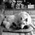 Tracey Reber Fritz's profile image