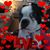Alejandra Underwood's profile image