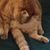 Christine Pengra's profile image