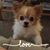 Linda Burgess's profile image