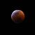 Devan Breedlove's profile image