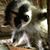 Bonita Jo Skipworth's profile image