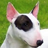 Jay C.'s profile image