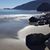 Judy McCord Woodward's profile image
