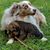 Dee Halpin's profile image