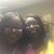 Kellishia Chamberlain-Kelley's profile image