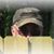 Mike Russell's profile image