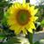 Marcia B Johnson's profile image