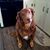 Michelle Thomassen's profile image