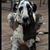Stacey Bundrick's profile image