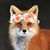 Dianna Rubly's profile image