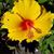 Michelle Mitchell's profile image