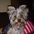 Linda Milstead's profile image