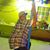 Christian Rosales's profile image