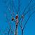 Peggy Roolf Pursley's profile image
