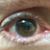 Eduardo Palese's profile image