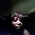 Cheryl Blake's profile image