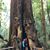 Cindy Erwin Lodewick's profile image