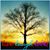 Brenda Merritt Seames's profile image