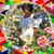 Andrea Williams's profile image