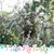 Luisa Agosto's profile image
