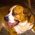 Georgette Keller's profile image