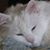 Gloria Lillibridge's profile image