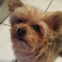 Donna Traynor Tavormina's profile image