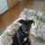 Aenodili Bean's profile image