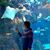 Cindy Ray Hanna's profile image